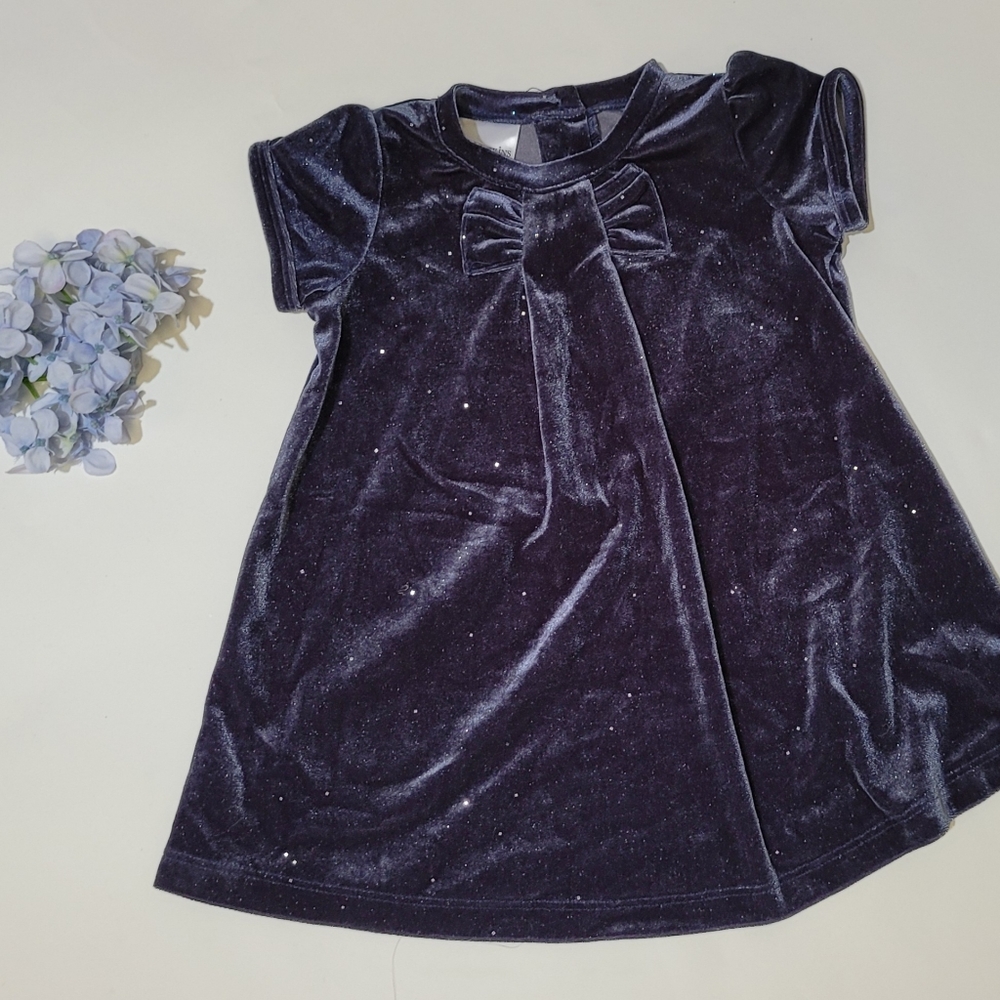 12 month velour gray dress